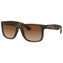 RAY-BAN 4165 710/13