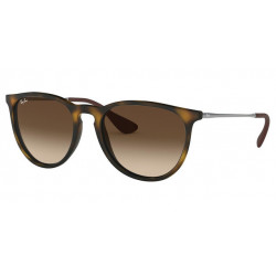 RAY-BAN 4171 865/13